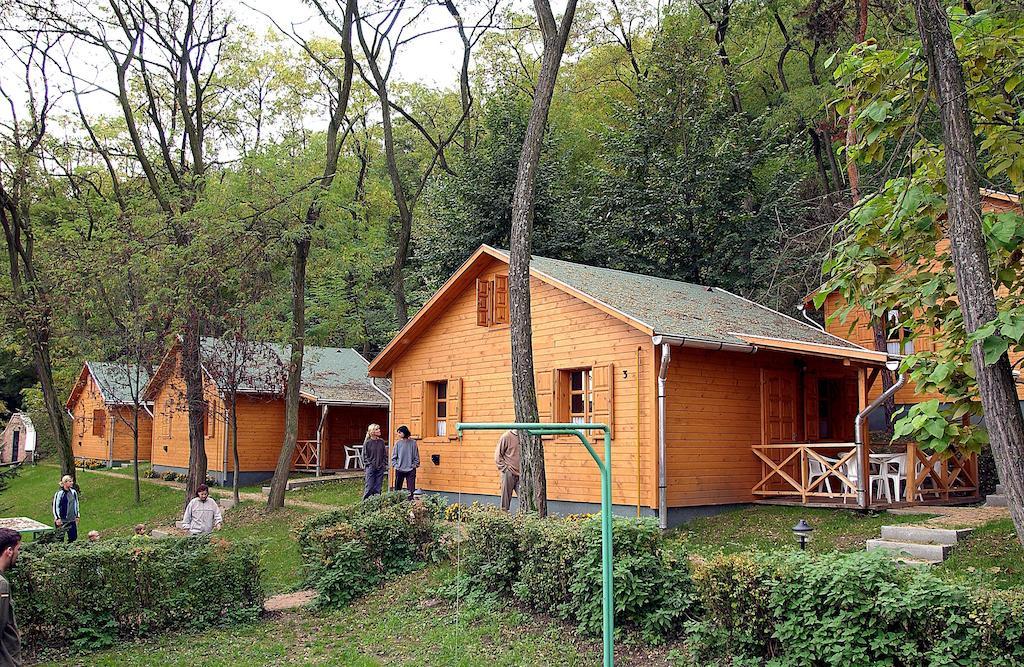 Zoeldvar Villa โบกาช ห้อง รูปภาพ